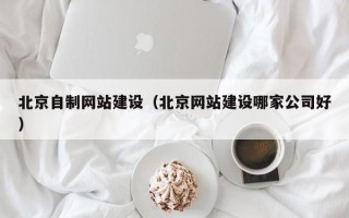 哈尔滨北京自制网站建设（北京网站建设哪家公司好）
