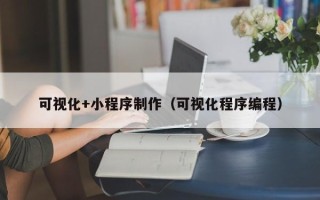 哈尔滨可视化+小程序制作（可视化程序编程）